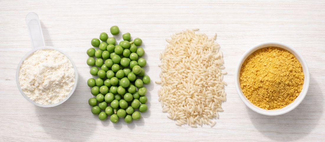 Plant, Whey, or Yeast,which Protein Source Is Right for You? A No-Jargon Guide for Indian Consumers